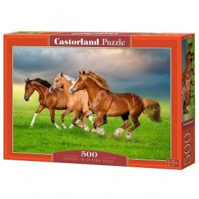 Castorland dėlionė Horses in Spring Rush 500 det