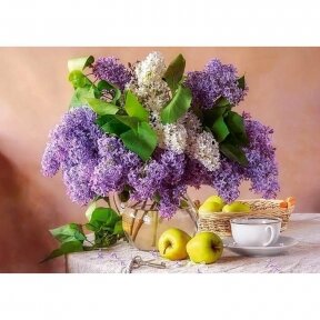 Castorland dėlionė Lilac Still Life 500 det