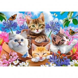 Castorland dėlionė Kittens with Flowers 500 det