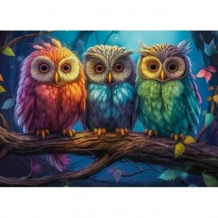 Castorland dėlionė Three Little Owls 260 det.