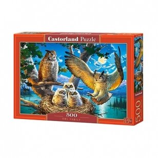 Castorland dėlionė  Owl Family 500 det