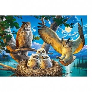 Castorland dėlionė  Owl Family 500 det