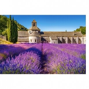 Castorland dėllionė LAVENDER FIELD IN PROVENCE, FRANCE 1000 det.