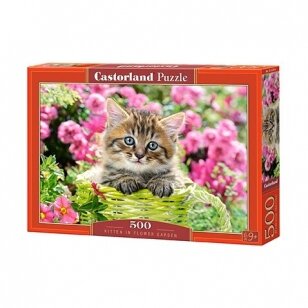 Castorland dėlionė Kitten in Flower Garden 500 det