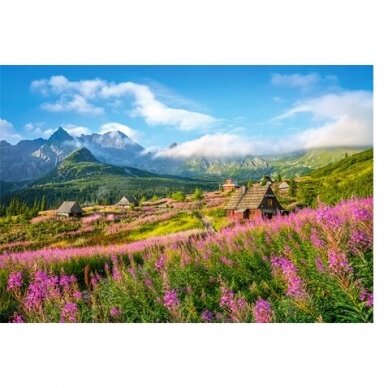 Castorland dėlionė Hala Gasienicowa, Tatras, Poland 1000 det. 1