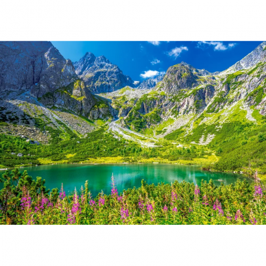 Castorland dėlionė Zelene Pleso Tatras Slovakia 1000 det. 1