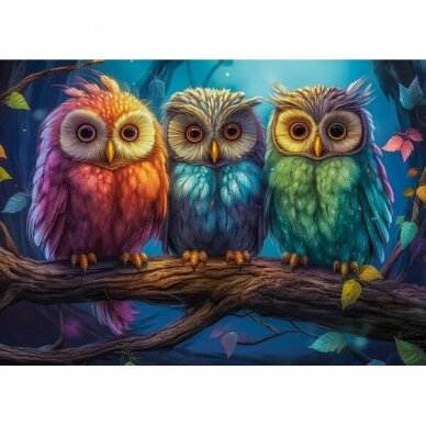 Castorland dėlionė Three Little Owls 260 det.  1