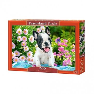 Castorland dėlionė  French Bulldog Puppy 500 det