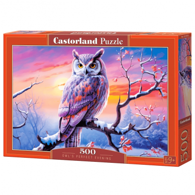 Castorland dėlionė Owls Perfect Evening 500 det