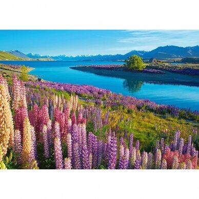 Castorland dėlionė Lake Tekapo New Zealand 500 det. 1