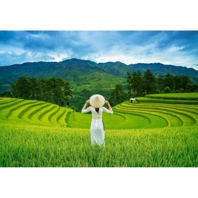 Castorland dėlionė Rice Fields in Vietnam 1000 det 1