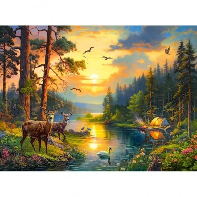 Castorland dėlionė Sunset over Forest River 3000 det. 1