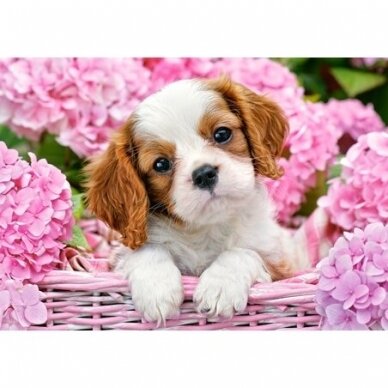 Castorland dėlionė Pup in Pink Flowers 500 det. 1