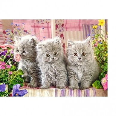 Castorland dėlionė THREE GREY KITTENS 260 det. 1