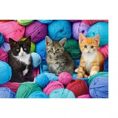 Castorland Dėlionė  Kittens In Yarn Store 300 Det. 1