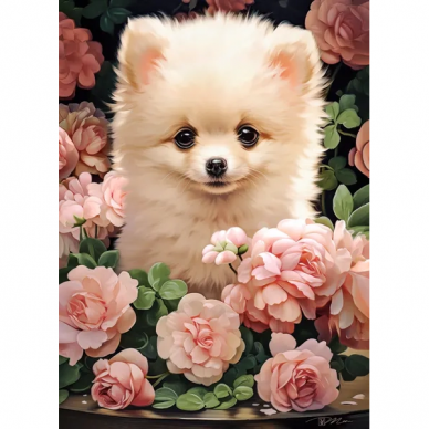 Castorland dėlionė  Pomeranian Puppy in Roses 300 det. 1