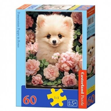 Castorland dėlionės Pomeranian Puppy in Roses 60 det.