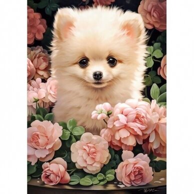 Castorland dėlionės Pomeranian Puppy in Roses 60 det.   1