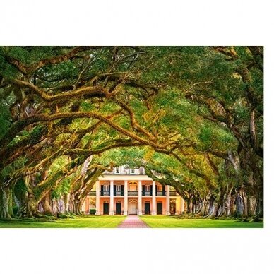 Castorland dėllionė OAK ALLEY PLANTATION 1000 det. 1