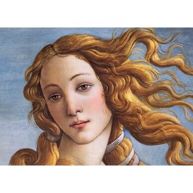 CherryPazzi dėlionė Face of Venus by Sandro Botticelli 1000 det. 1