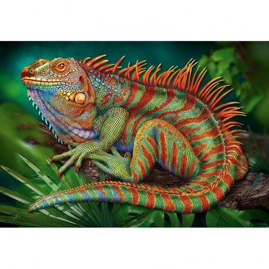 CherryPazzi dėlionė  Incredible Iguana 500 det 5