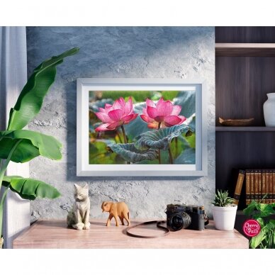 CherryPazzi dėlionė Pink Lotus flowers 500 det 6