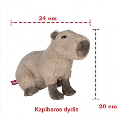 Fancy Minkšta Kapibara 20 cm 4